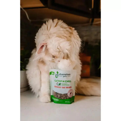 Shameless Pets Catnip N Chill Crunchy Cat Treats - Talis Us