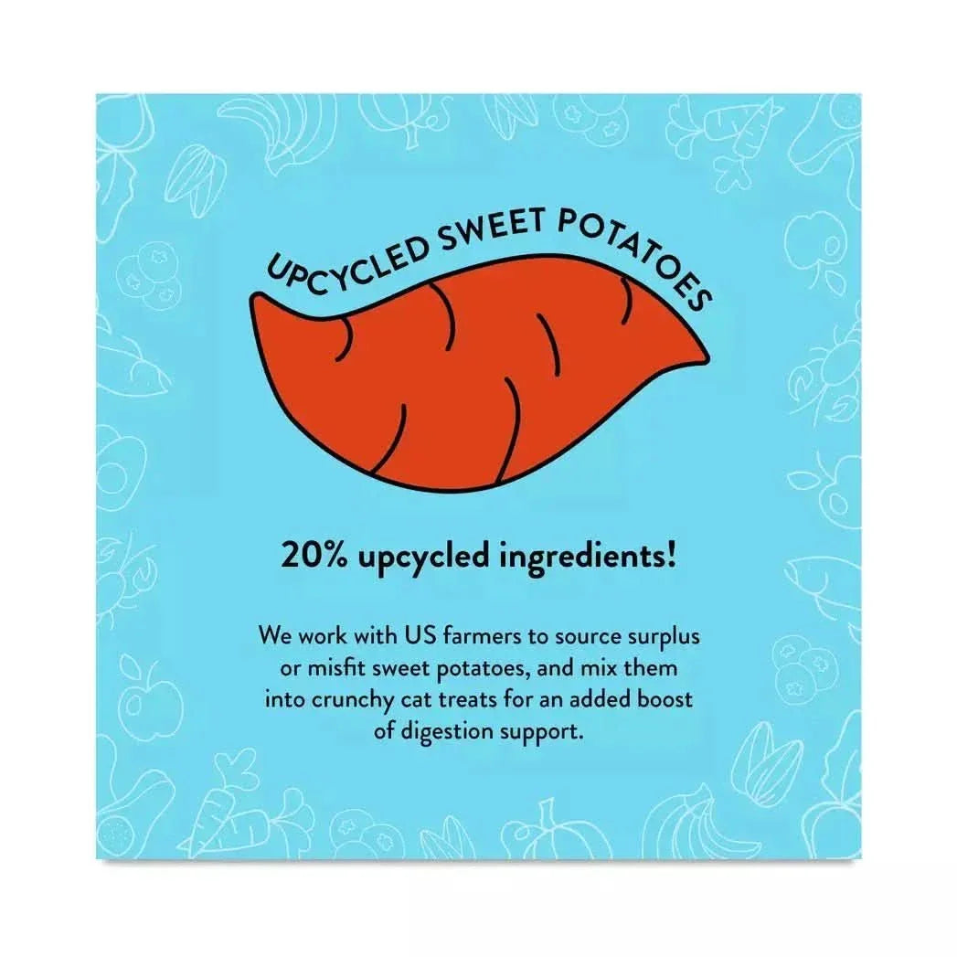 Shameless Pets Fintastic Catnip Crunchy Cat Treats 2.5oz - Talis Us