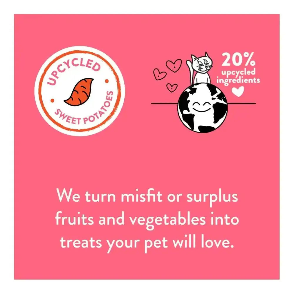 Shameless Pets Yam Good Salmon Crunchy Cat Treats - Talis Us