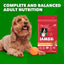 IAMS ProActive Health Adult Lamb Rice Dry MiniChunk Dog Food 30 lb