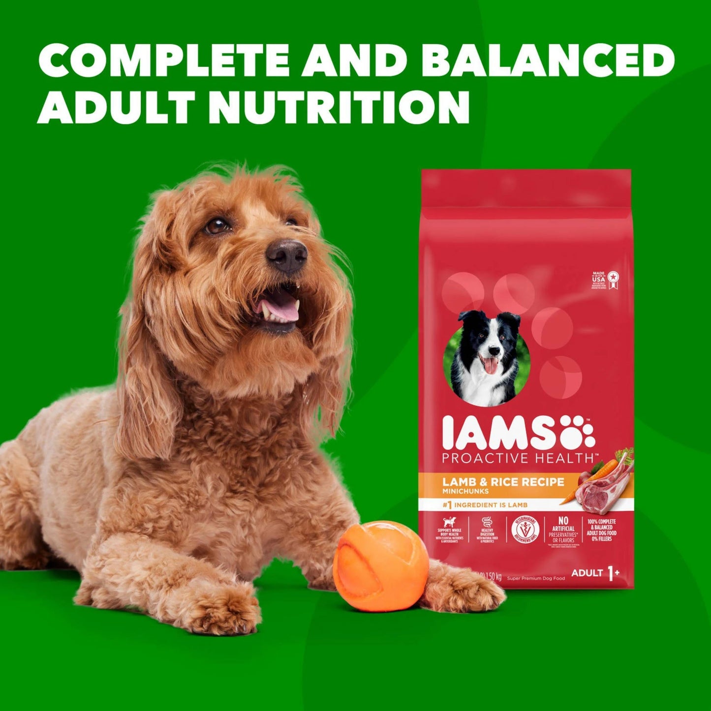 IAMS ProActive Health Adult Lamb Rice Dry MiniChunk Dog Food 30 lb