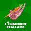 IAMS ProActive Health Adult Lamb Rice Dry MiniChunk Dog Food 30 lb