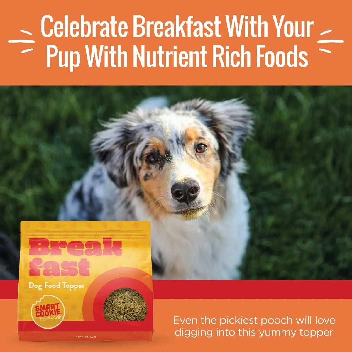 Smart Cookie Breakfast Boost Dog Food Topper with Eggs & Oats 15 oz - Talis Us