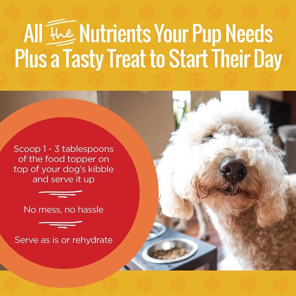 Smart Cookie Breakfast Boost Dog Food Topper with Eggs & Oats 15 oz - Talis Us