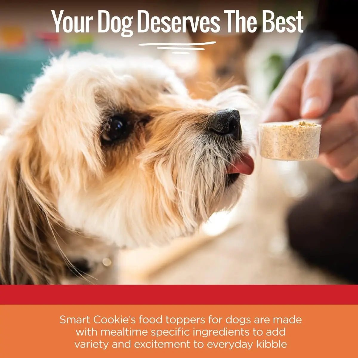 Smart Cookie Breakfast Boost Dog Food Topper with Eggs & Oats 15 oz - Talis Us