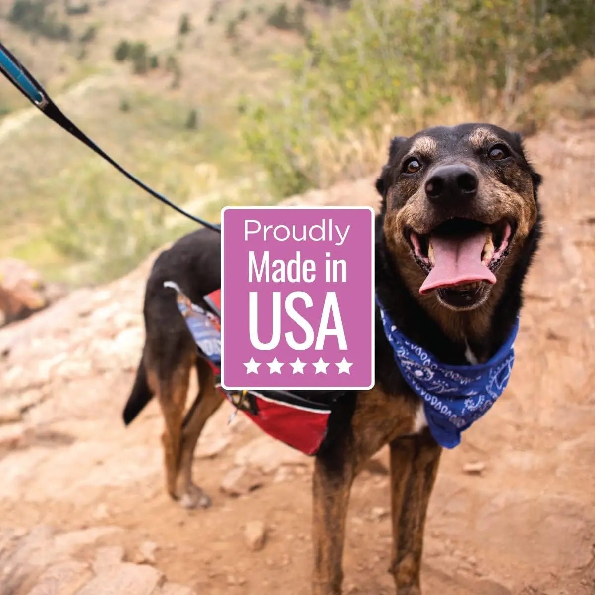 Smart Cookie Duck Jerky Treats – Hypoallergenic, Grain - Free & Packed with Omega Oils - Talis Us