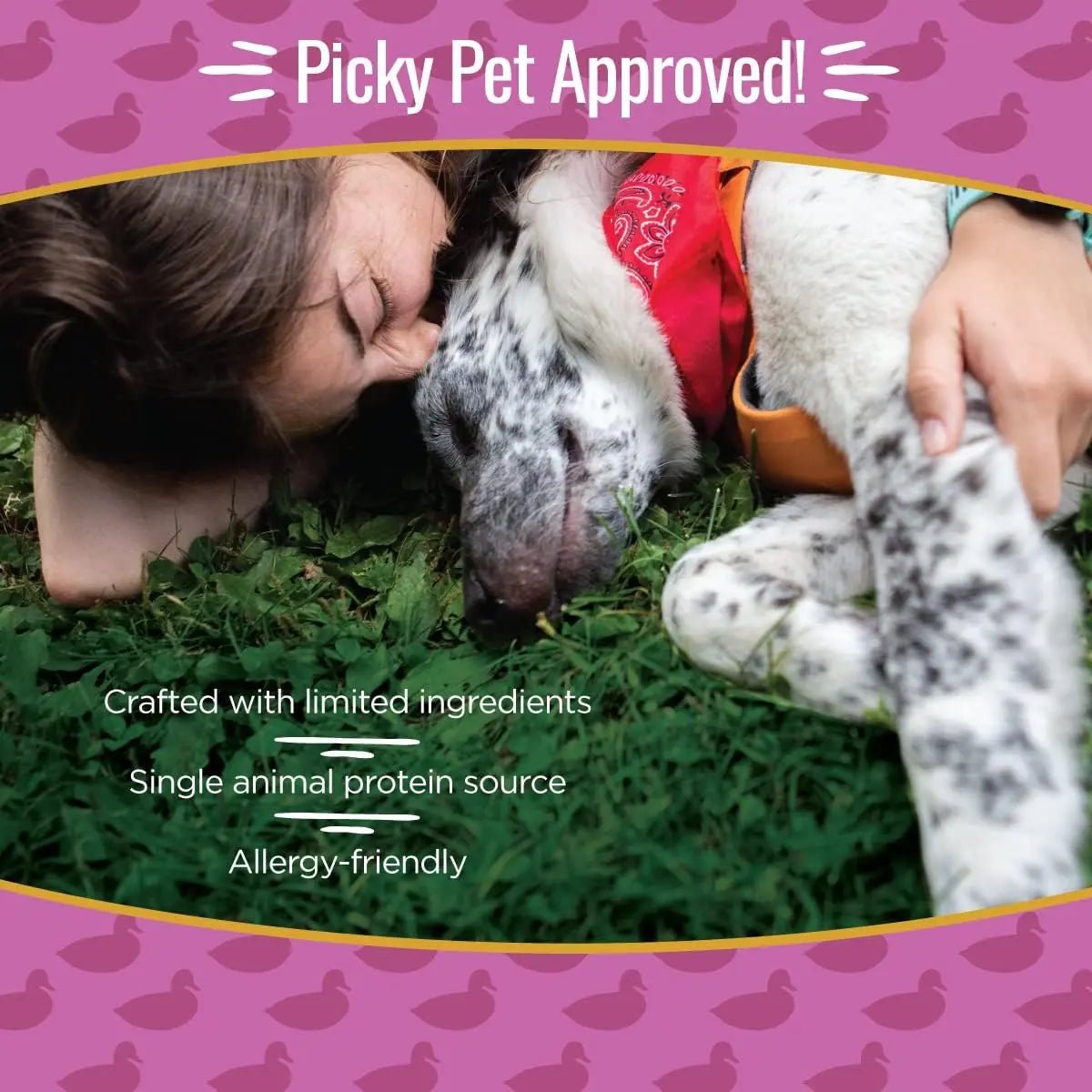 Smart Cookie Duck Jerky Treats – Hypoallergenic, Grain - Free & Packed with Omega Oils - Talis Us