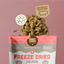 Smart Cookie Freeze - Dried Alaskan Salmon Cat Snacks - Talis Us