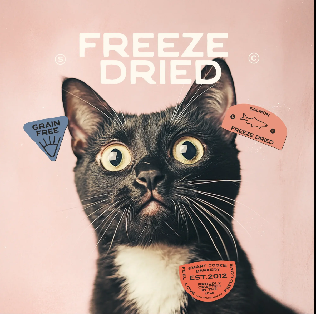 Smart Cookie Freeze - Dried Alaskan Salmon Cat Snacks - Talis Us