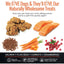 Smart Cookie Healthy Skin & Coat Alaskan Salmon Dog Treats - Talis Us