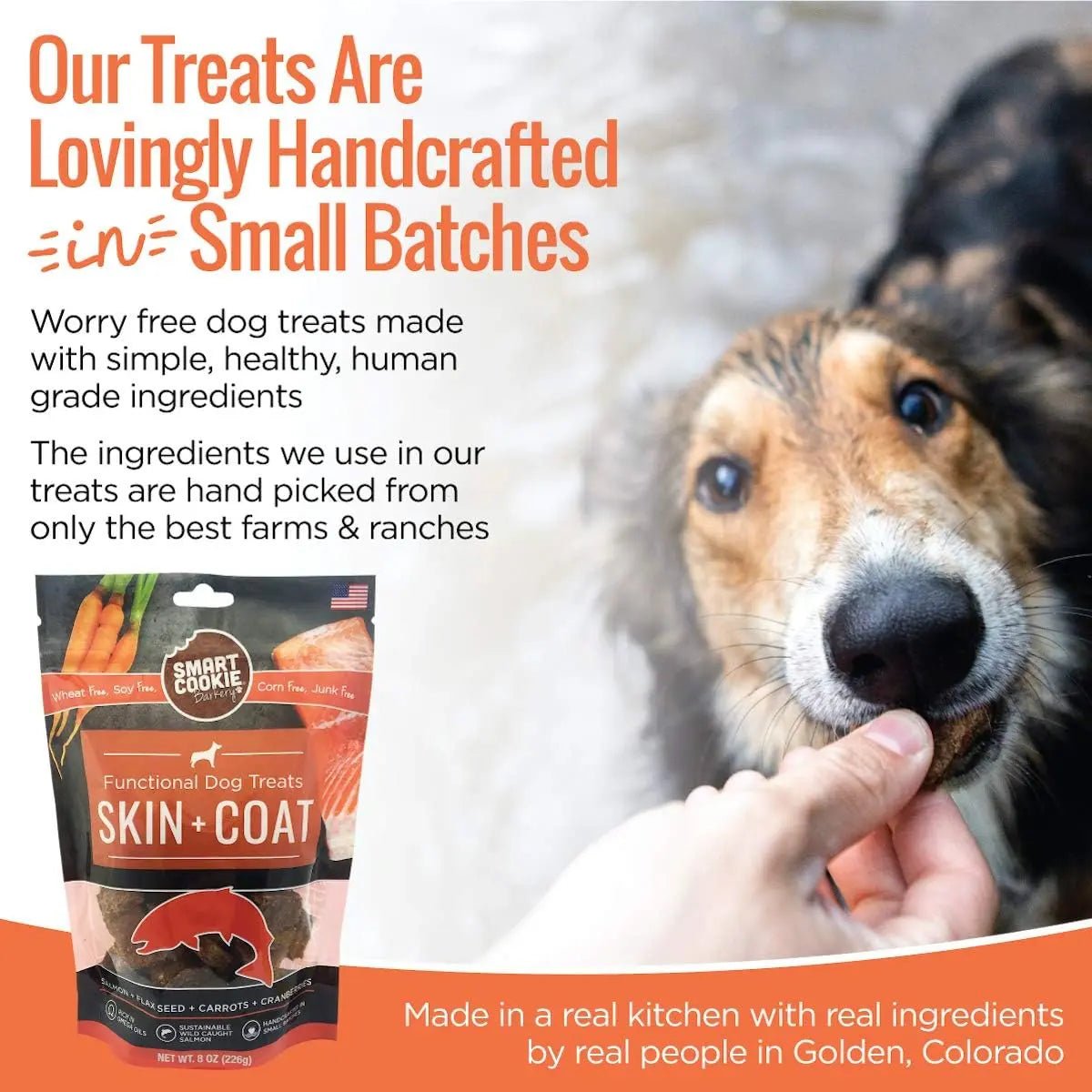 Smart Cookie Healthy Skin & Coat Alaskan Salmon Dog Treats - Talis Us