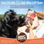 Smart Cookie Healthy Skin & Coat Alaskan Salmon Dog Treats - Talis Us