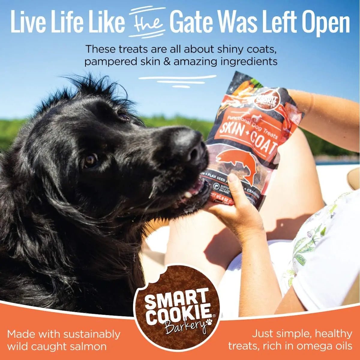 Smart Cookie Healthy Skin & Coat Alaskan Salmon Dog Treats - Talis Us