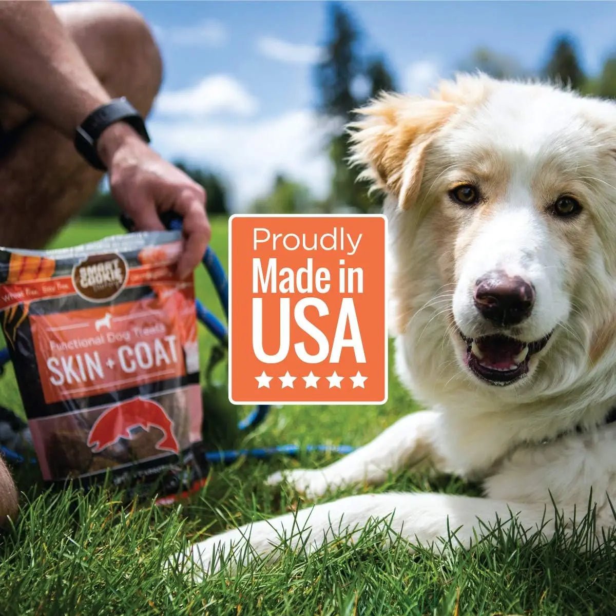 Smart Cookie Healthy Skin & Coat Alaskan Salmon Dog Treats - Talis Us