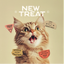 Smart Cookie High - Protein Freeze - Dried Turkey Cat Snacks - Talis Us