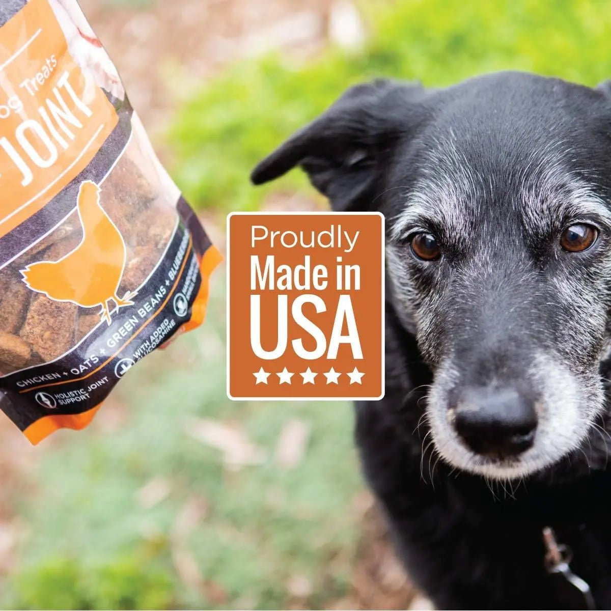 Smart Cookie Hip & Joint Dog Treats – Chicken Biscuits with Glucosamine for Senior Dogs 8oz - Talis Us