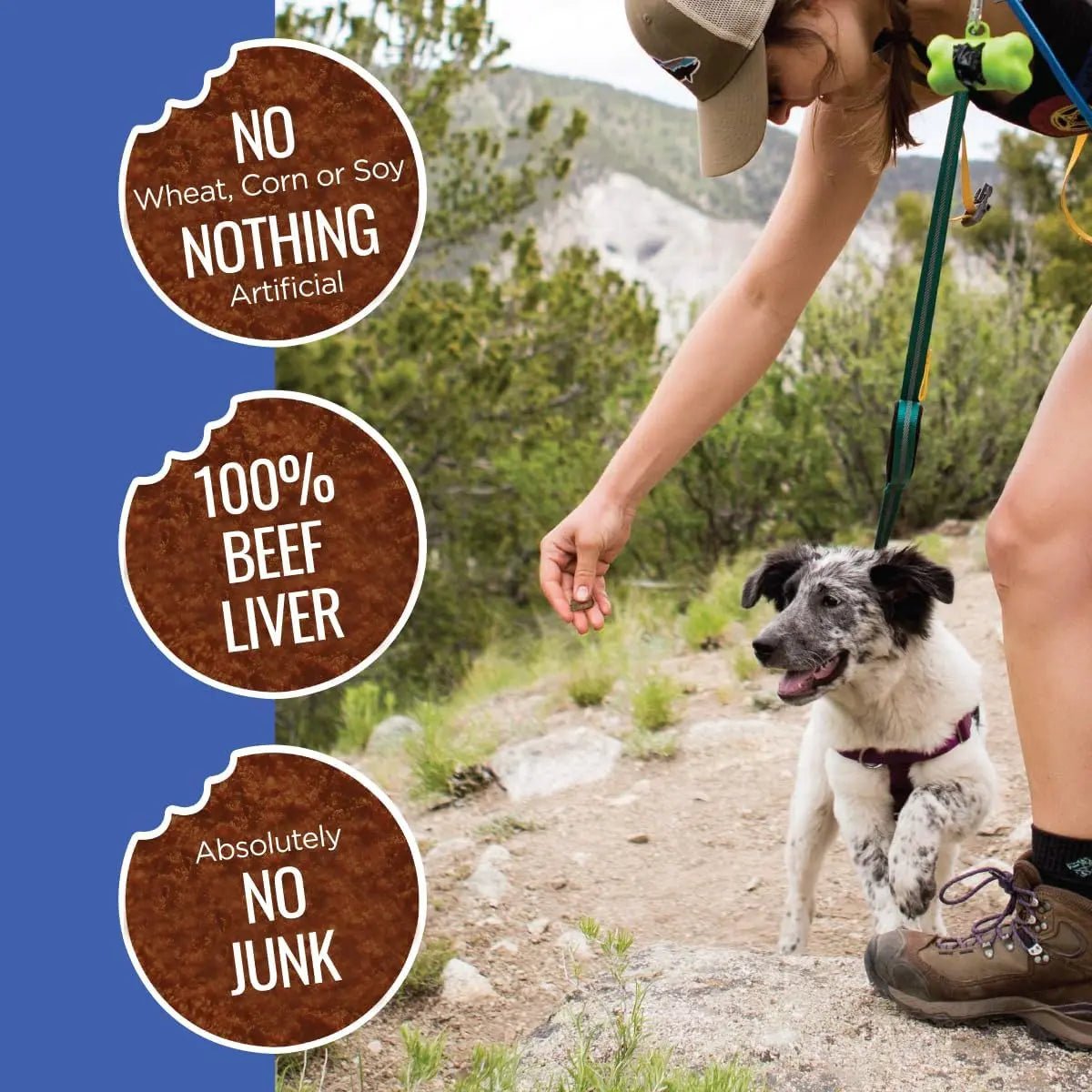 Smart Cookie Low - Calorie Freeze - Dried Liver Treats – Perfect for Training and Topping 2oz - Talis Us