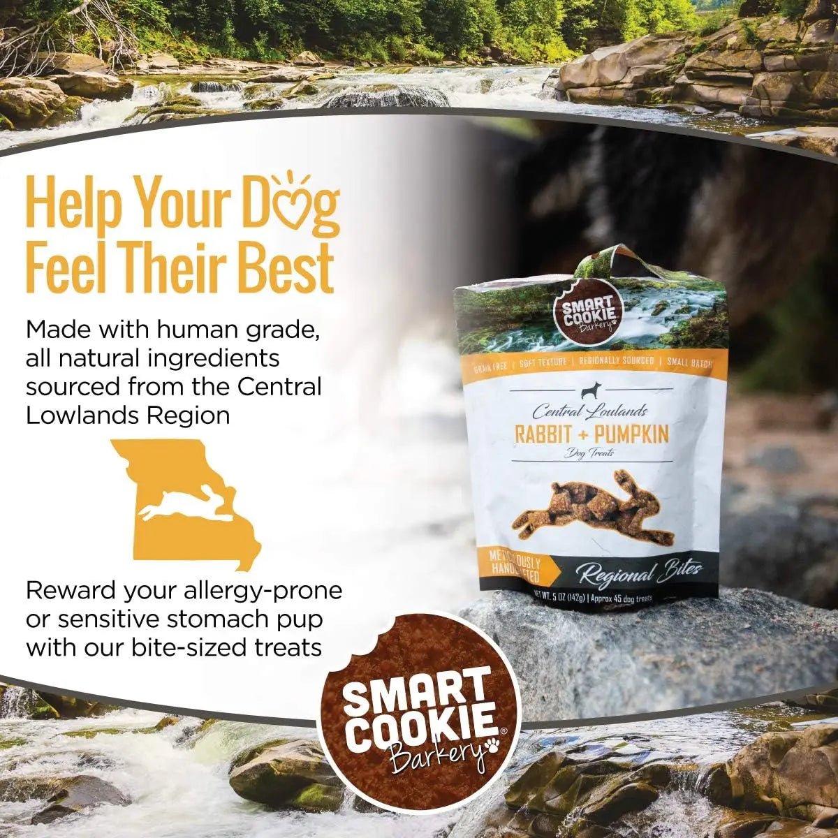 Smart Cookie Rabbit & Pumpkin All - Natural Training Treats 5oz - Talis Us