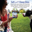 Smart Cookie Trout & Apple Grain - Free Hypoallergenic Dog Treats 5oz - Talis Us