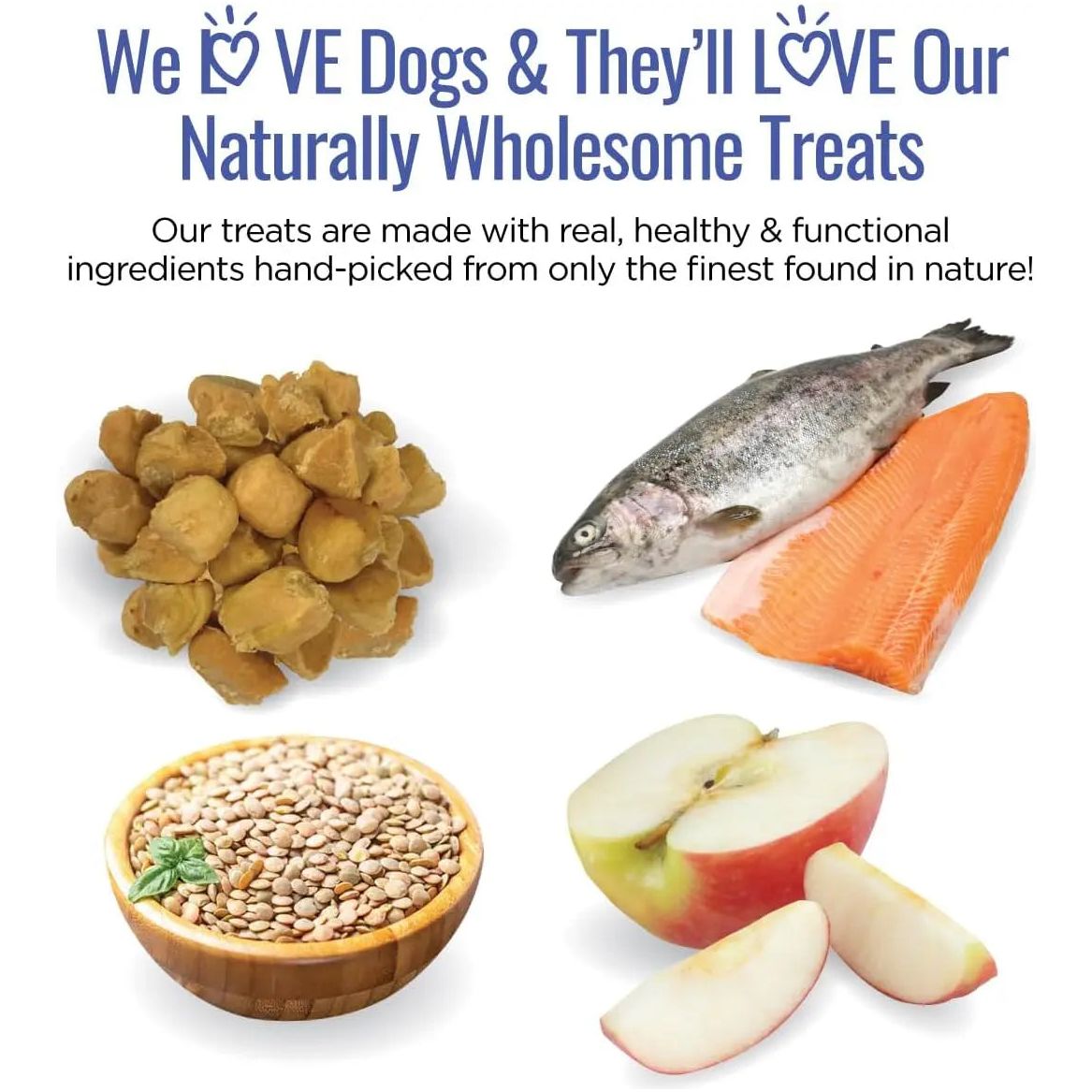 Smart Cookie Trout & Apple Grain - Free Hypoallergenic Dog Treats 5oz - Talis Us