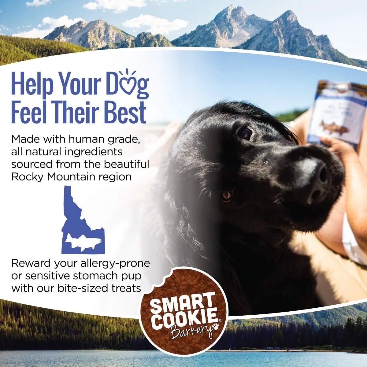 Smart Cookie Trout & Apple Grain - Free Hypoallergenic Dog Treats 5oz - Talis Us