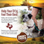 Smart Cookie Wild Boar & Sweet Potato Grain - Free Dog Treats - Talis Us