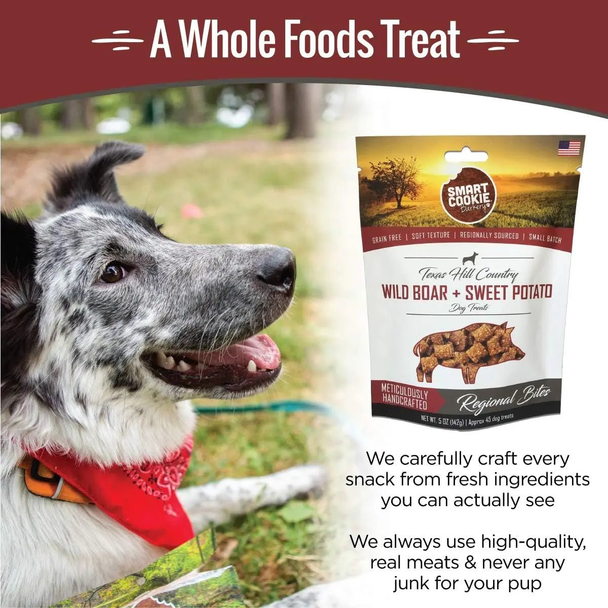Smart Cookie Wild Boar & Sweet Potato Grain - Free Dog Treats - Talis Us