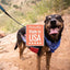 Smart Cookie Wild - Caught Salmon Jerky Treats for Dogs - Talis Us