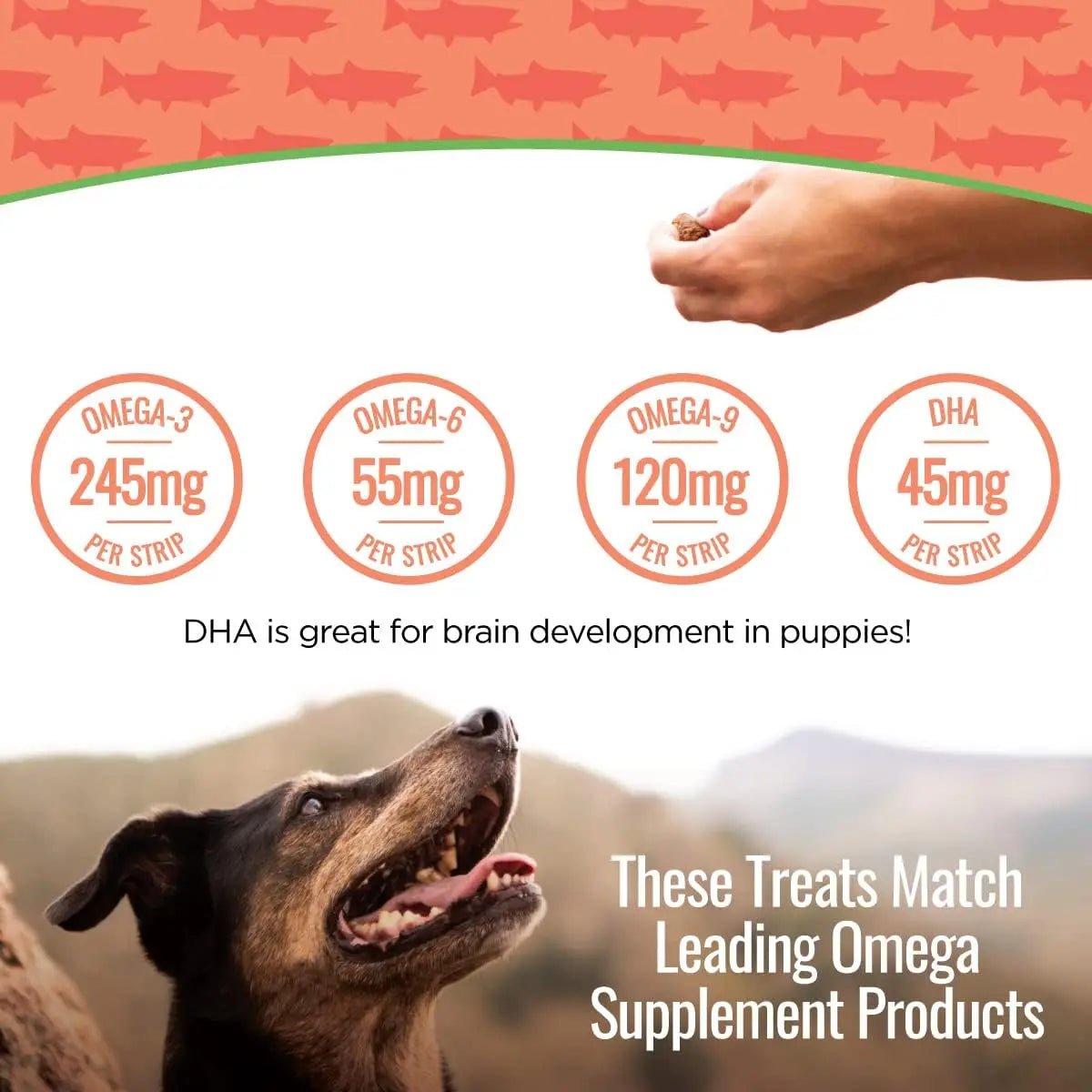 Smart Cookie Wild - Caught Salmon Jerky Treats for Dogs - Talis Us