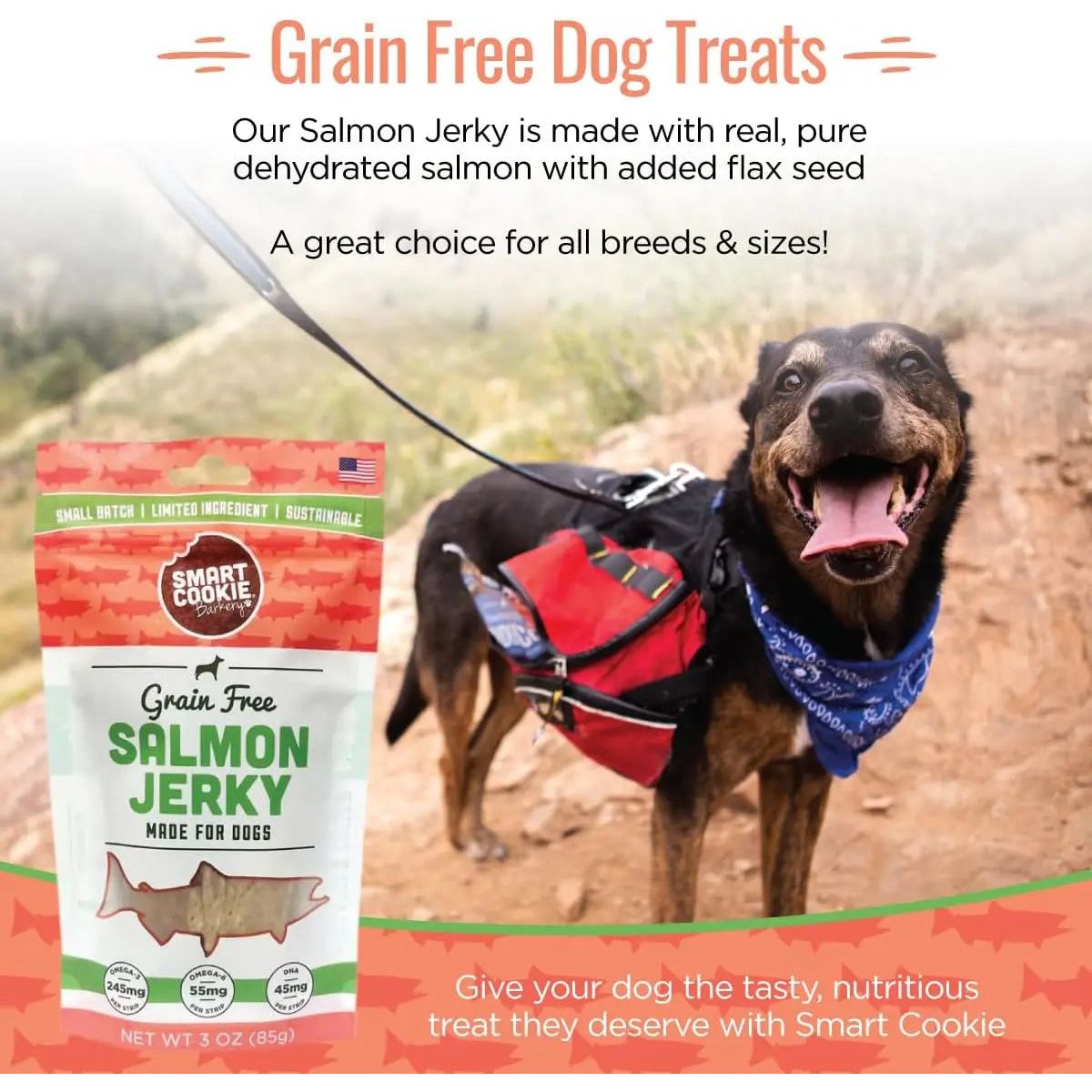 Smart Cookie Wild - Caught Salmon Jerky Treats for Dogs - Talis Us
