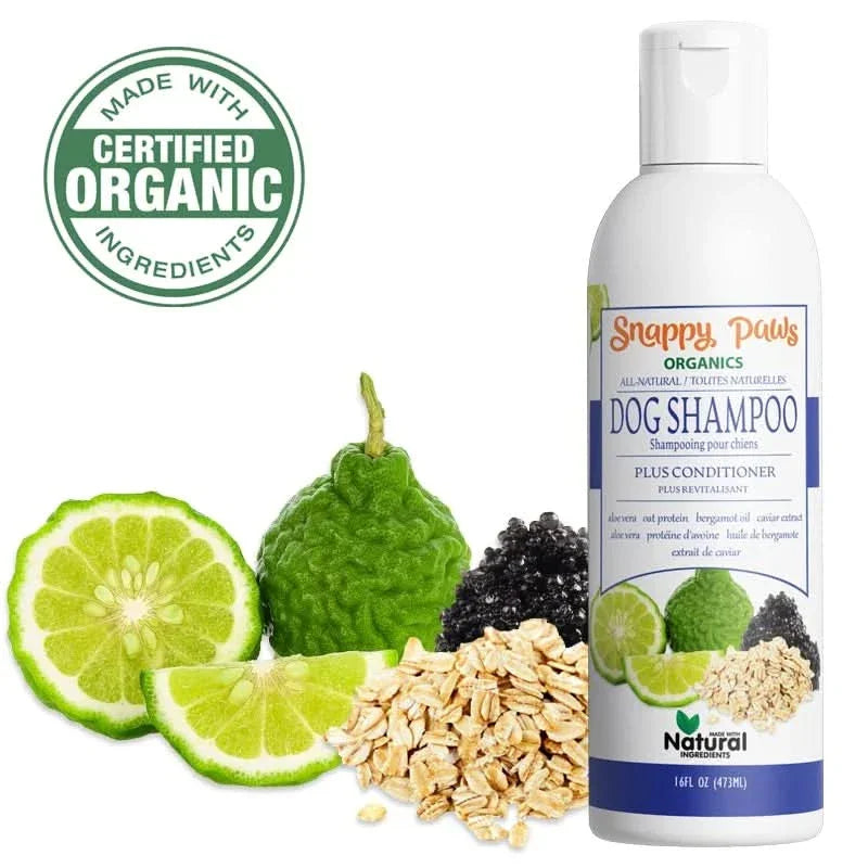 Snappy Tom organic dog shampoo and conditioner in a bottle with natural ingredients like lime and oats