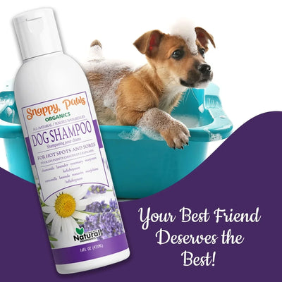 Snappy Tom Dog Shampoo for all-natural pet grooming, ideal for hot spots and skin sores