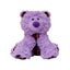 SnugArooz Bella the Bear Dog Toy Plush - Talis Us