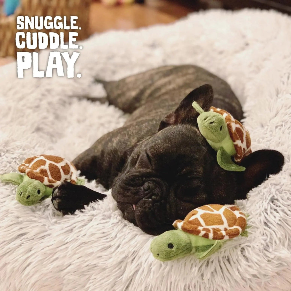SnugArooz Hide and Seek Reef Dog Toy - Talis Us