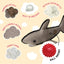 SnugArooz Saul the Shark Dog Toy - Talis Us