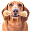 SodaPup Nylon Honey Bone Ultra Durable Dog Chew Toy - Talis Us