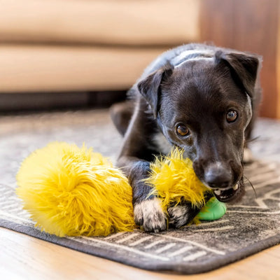 West Paw squeaky plush dog toy in yellow for interactive play and safe chewing