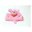 Steel Dog Barnyard Buddies Dog Toys - Talis Us