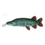 Steel Dog Denim Fish Dog Toys with Rope - Talis Us