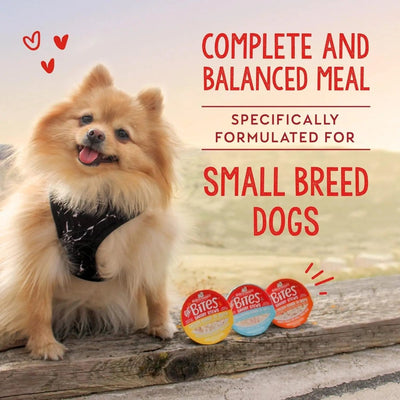 Stella & Chewy's Lil Bites Savory Stews Chicken & Duck in Broth Dog 12 / 2.7 oz - Talis Us