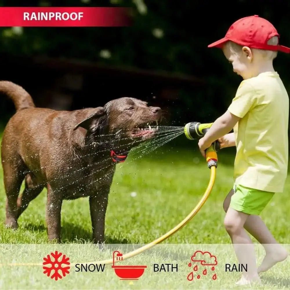 Talis-us Dog Bark Collar - Humane Anti Barking Training Collar - Vibration No Shock Dog Collar Talis Us