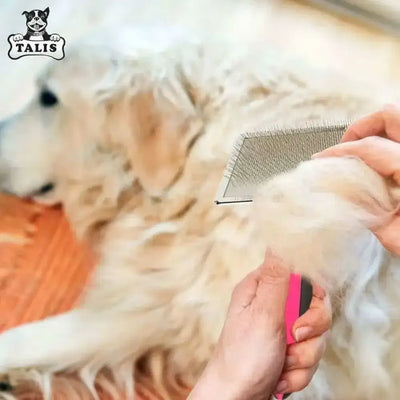 A person uses the Talis Us Pet Grooming Brush for Shedding with Comfortable Grip to groom a fluffy, light-colored dog lying on the floor. Loose fur is visible on the brush. The Talis Us logo with a dogs face appears in the top left corner.