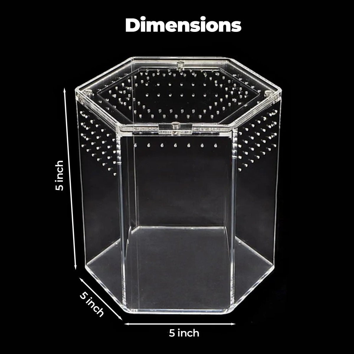 Talis - us Acrylic Hexagon Tarantula Enclosure Reptile Terrarium - Talis Us