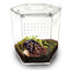Talis - us Acrylic Hexagon Tarantula Enclosure Reptile Terrarium - Talis Us
