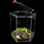 Talis - us Acrylic Hexagon Tarantula Enclosure Reptile Terrarium - Talis Us
