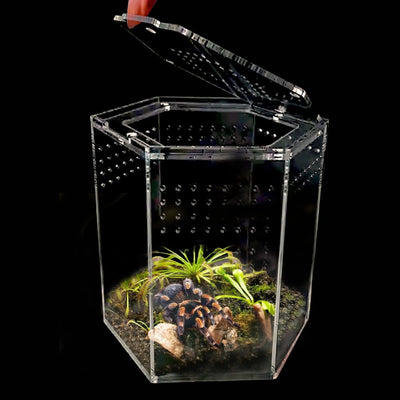 Talis - us Acrylic Hexagon Tarantula Enclosure Reptile Terrarium - Talis Us