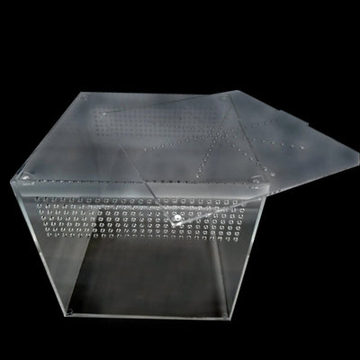 Talis - us Acrylic Reptile Enclosure Terrarium Cage For Lizard Snake Tarantula 9"x 9"x 9" - Talis Us