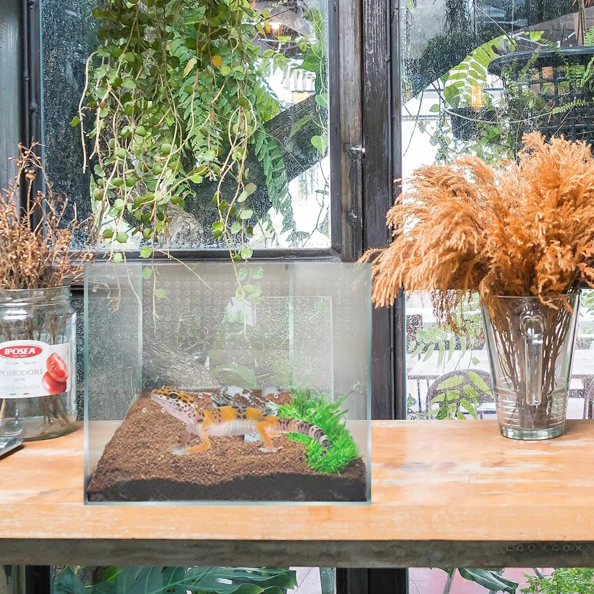 Talis - us Acrylic Reptile Enclosure Terrarium Cage For Lizard Snake Tarantula 9"x 9"x 9" - Talis Us