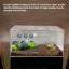Talis - us Acrylic Tarantula Enclosure Transparent Terrariums Horizontal or Vertical Style for Spider Reptile Insect 8” x 8” x 16” - Talis Us