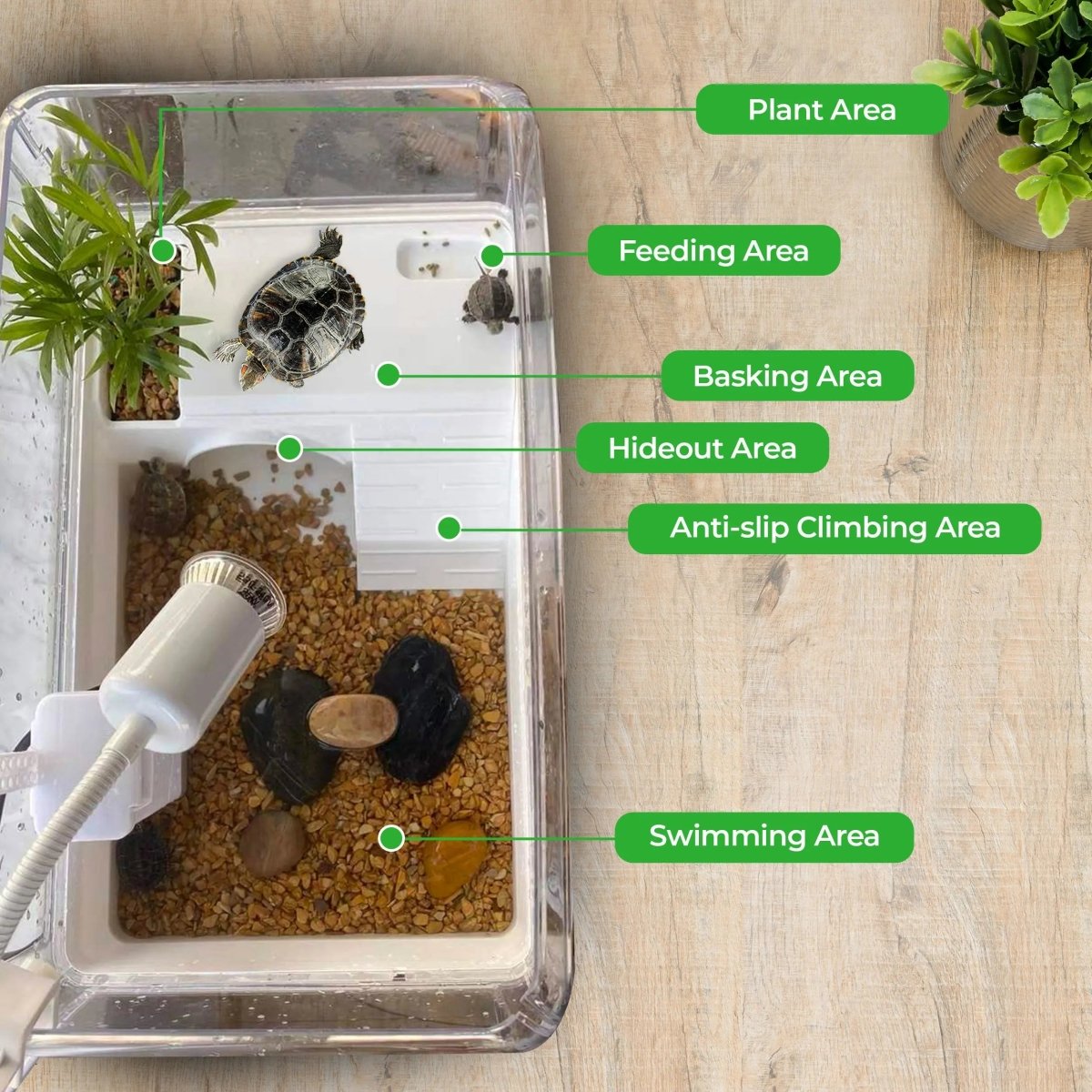 Talis - us Aquatic Tortoise Enclosure with Hideout - Talis Us